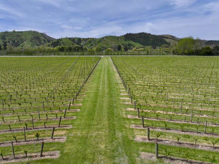 2057 Matawai Road Te Karaka_10