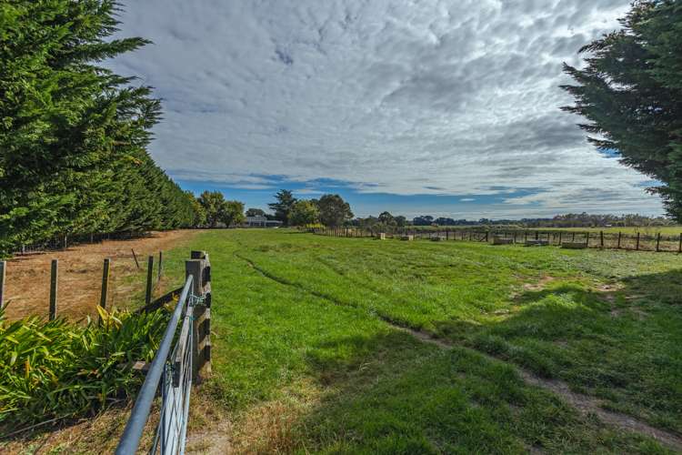 203 Fitzherbert East Road Aokautere_10