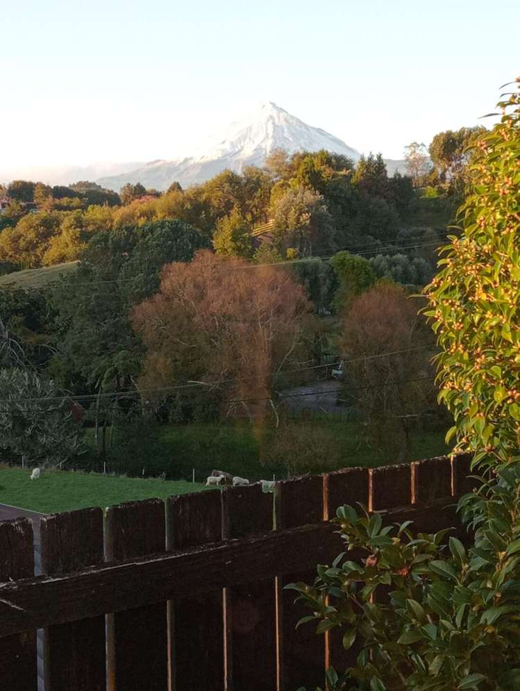 351 Tukapa Street Hurdon_25