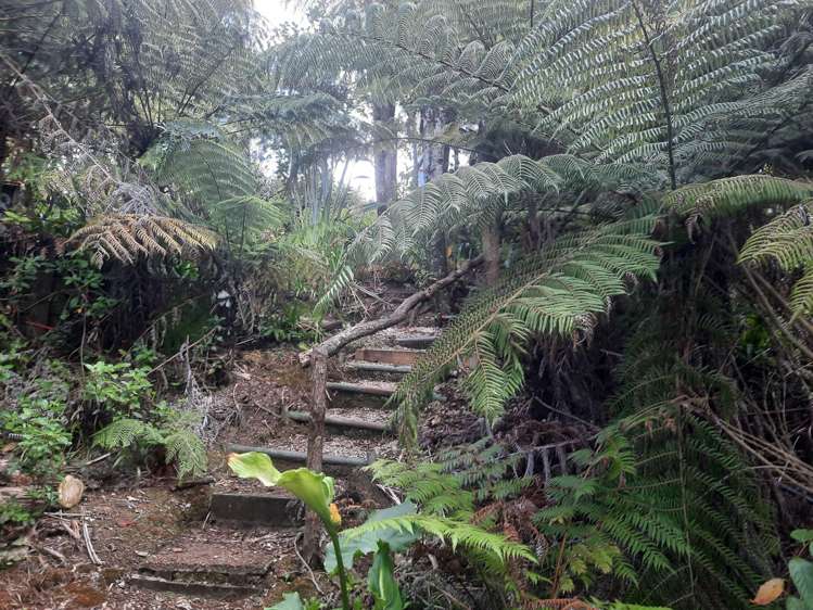 68 Manuka Road Glenfield_18