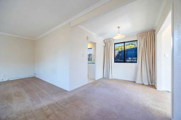 11 Palliser Lane Browns Bay_18