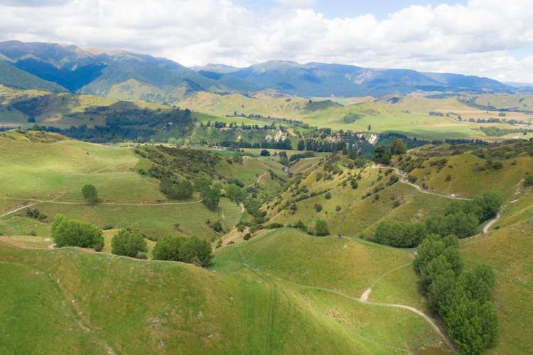 131 Rangitane Road Mangaweka_19