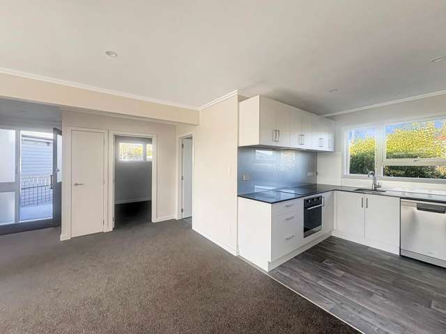 D/447 Great North Road Grey Lynn_4