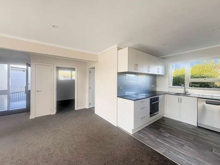 D/447 Great North Road Grey Lynn_4