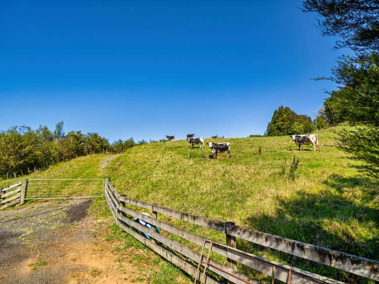 383 Busby Road Katikati_40