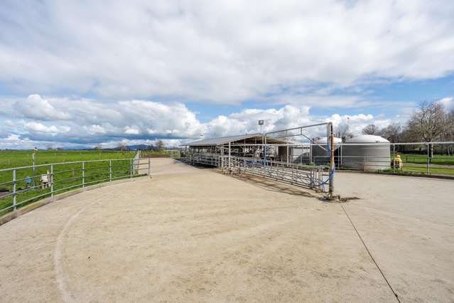 416 Wardville Road Matamata_4