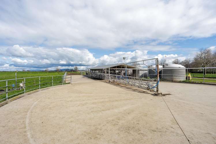 416 Wardville Road Matamata_4