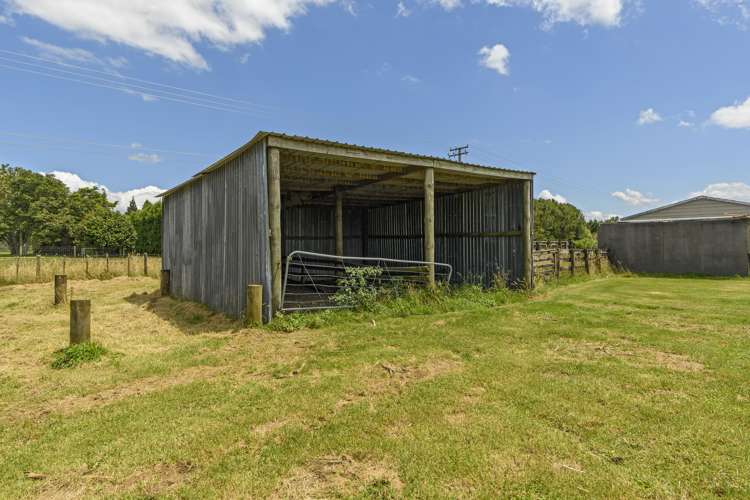 425 Mclaren Falls Road Kaimai_19