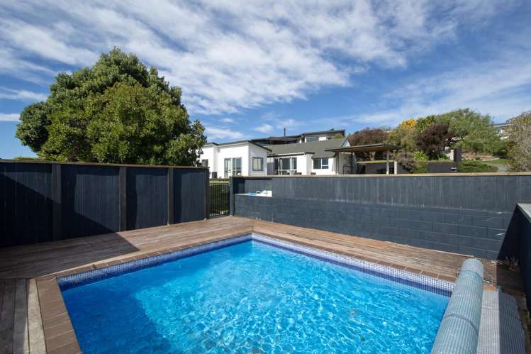 147 Soleares Avenue Mount Pleasant_16