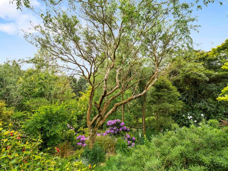 211 Signal Hill Road Opoho_17