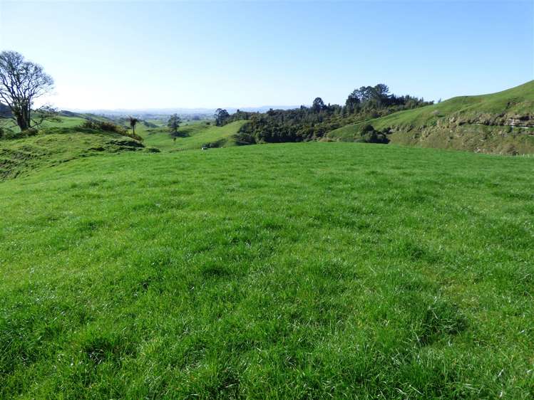 523 Honikiwi Road Otorohanga_15