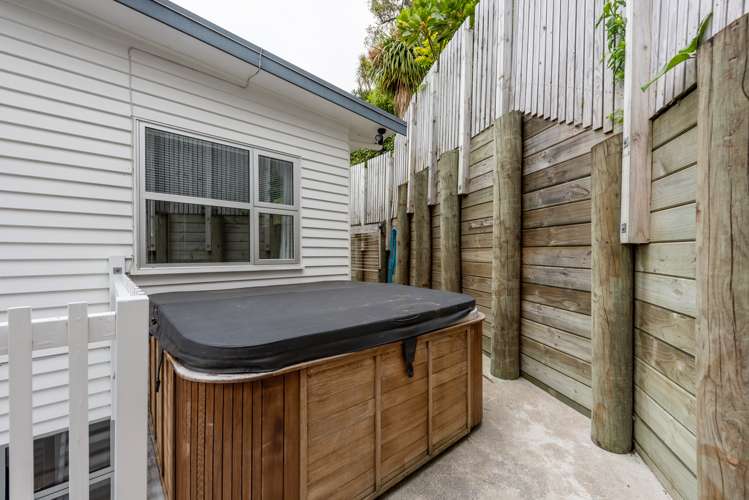 3b Anderson Terrace Mount Cook_15