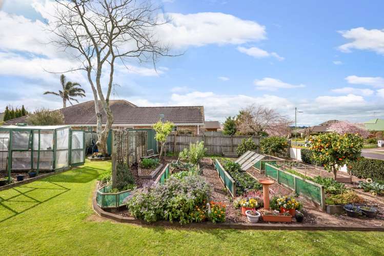 26 Highfields Drive Katikati_24