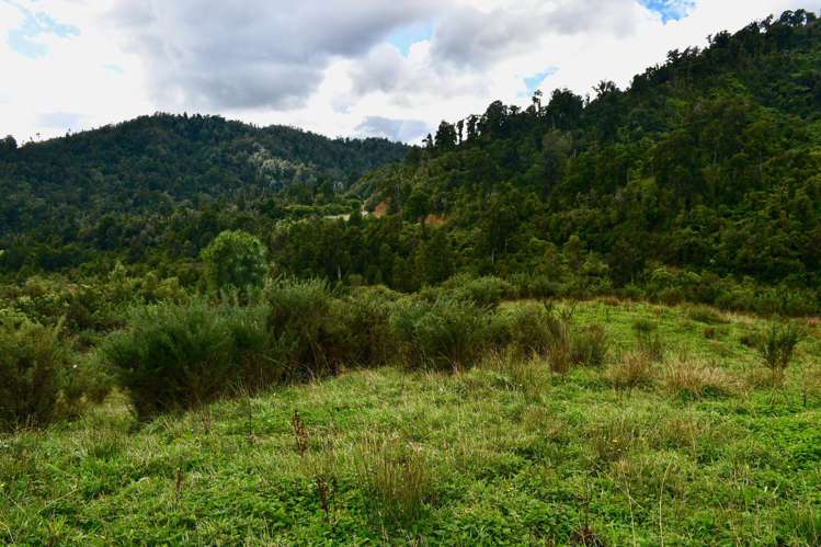 40Ha Block State Highway 67 Mokihinui_16