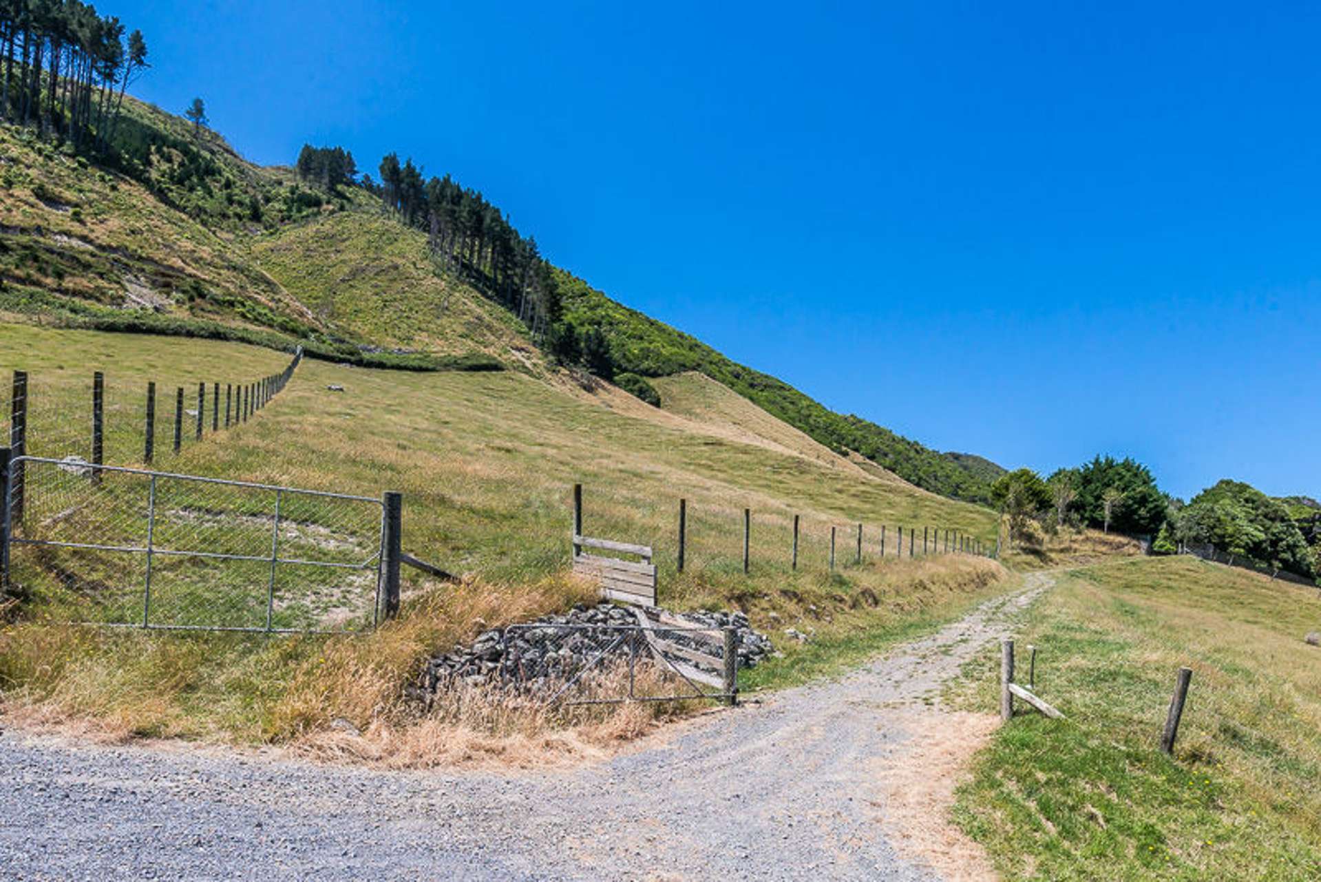 273 Huia Street Waikanae_0