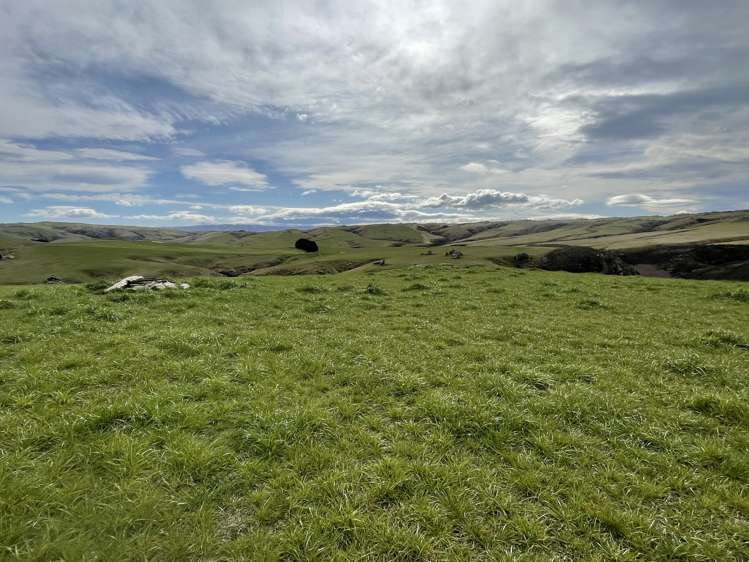 968 Wallaces Ford Road Hindon_23