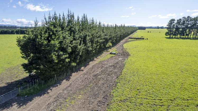 174 Wiltons Road Carterton_9