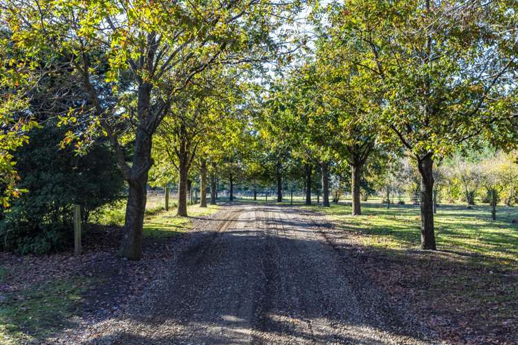 1499 Tram Road Swannanoa_26