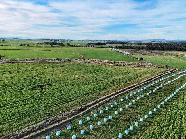 529 Clearwater Road Awarua_3