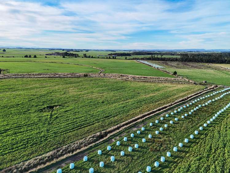 529 Clearwater Road Awarua_3