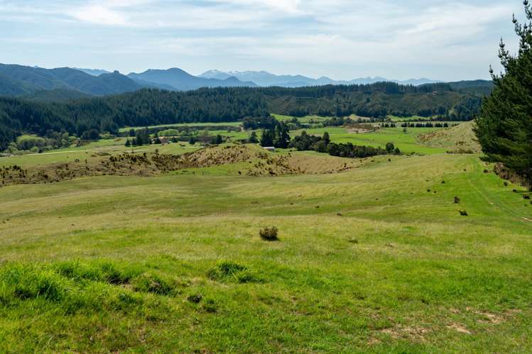 1584 Tadmor-Glenhope Road Tapawera_1