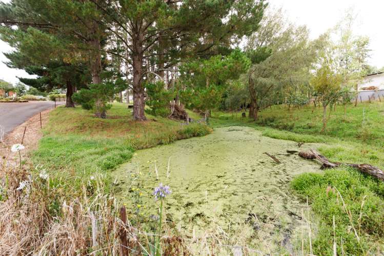 929b Reid Line East Bunnythorpe_17