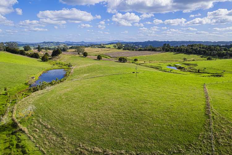 278 Pigs Head Road Hikurangi_7