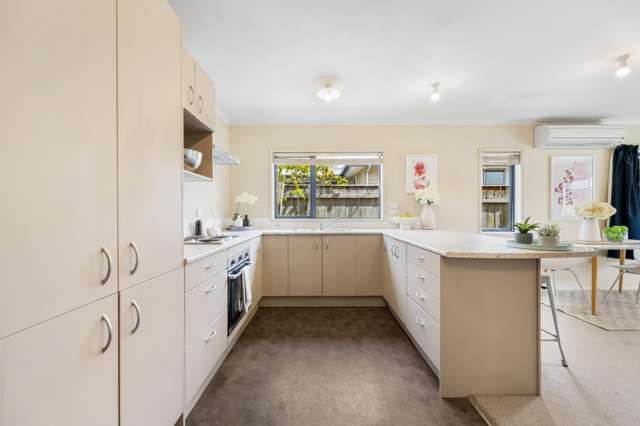 48B Molyneux Avenue Cromwell_2