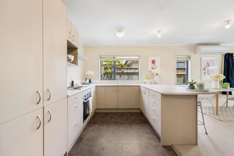 48B Molyneux Avenue Cromwell_1