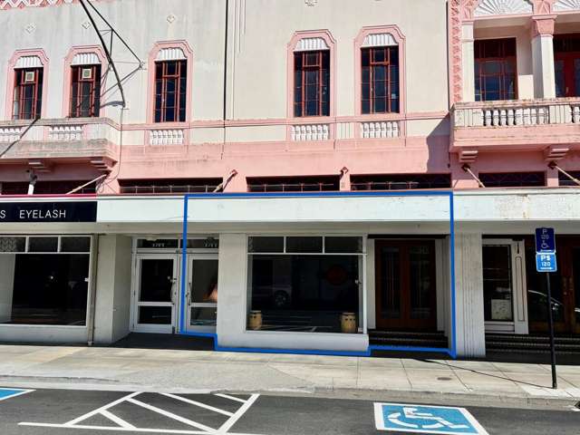 59 Dalton Street Napier South_1