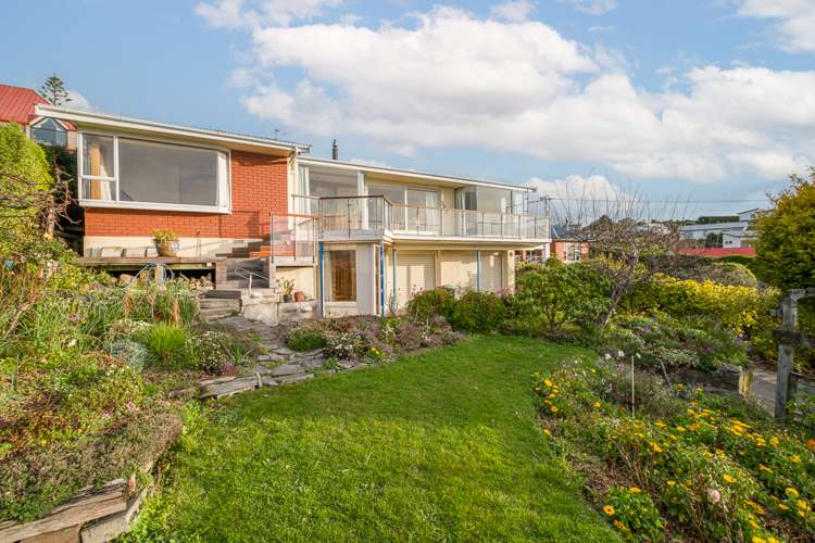 264 Mount Pleasant Road Mount Pleasant_5