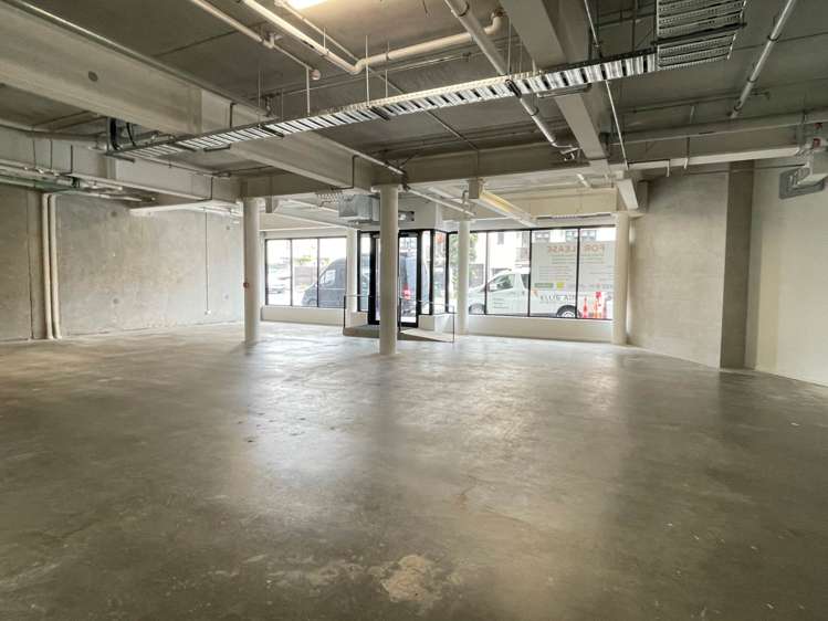 8 Rose Road Grey Lynn_5