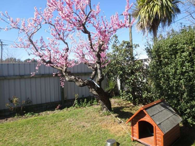 110 Russell Street Alexandra_5