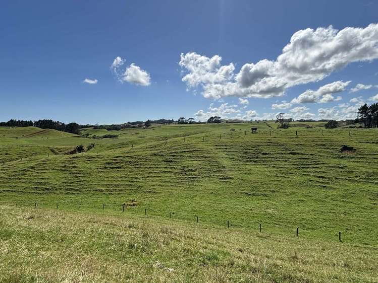 Lot 3 / 229 Hurford Rd Omata_4
