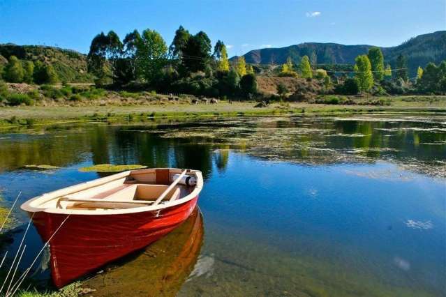 408 Mcvicar Road Te Haroto_1