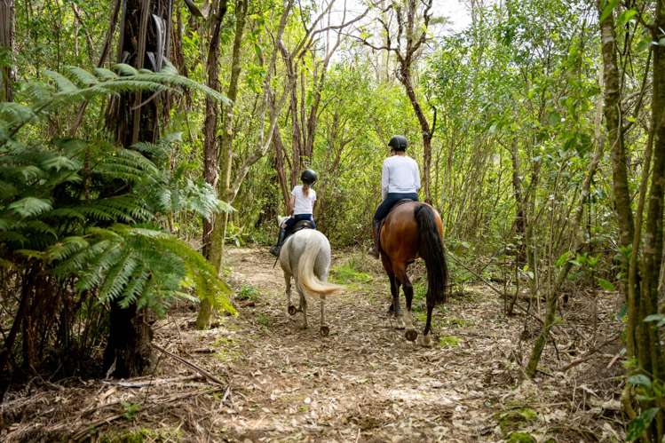 217 Harvey Road Marahau_29