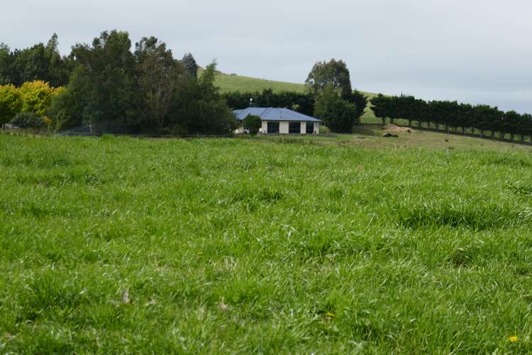 313 Springfield Road Totara_21