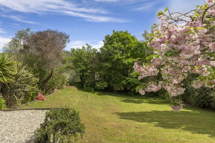 92 Milton Terrace Picton_13