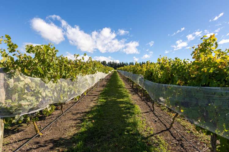 337 Mackenzies Road Waipara_7