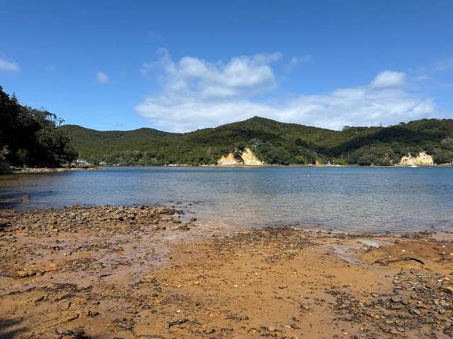 169 Shoal Bay Road Great Barrier Island_3