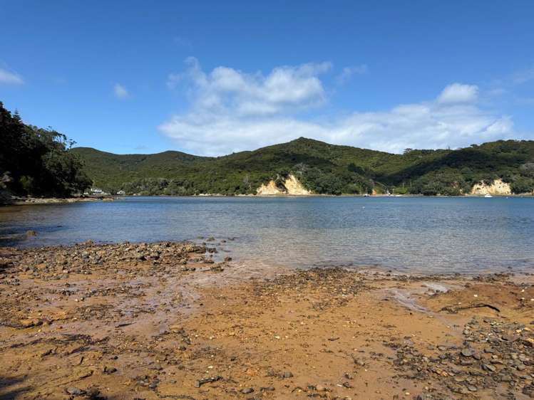 169 Shoal Bay Road Great Barrier Island_3