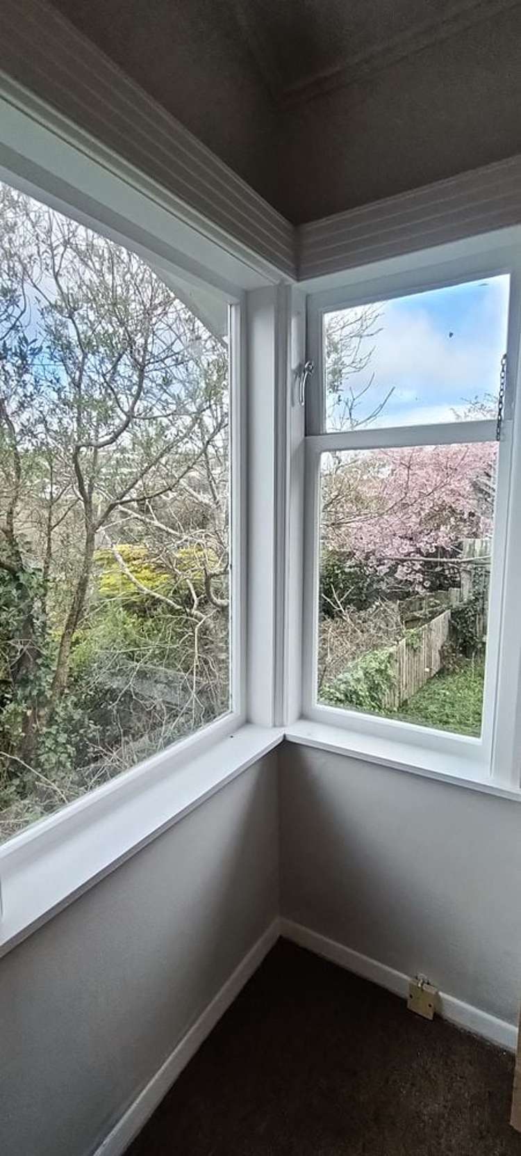 63 Middleton Road Johnsonville_13