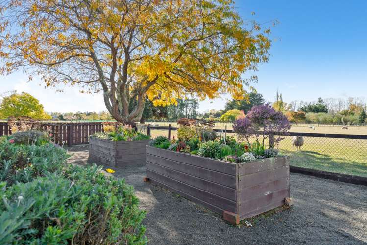 237 Te Whiti Road Masterton_19