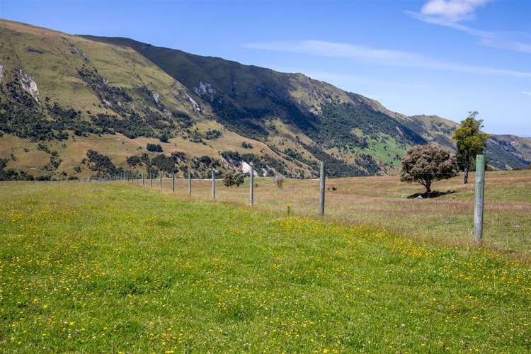 1178 Puhi Puhi Road Puhi Puhi_21