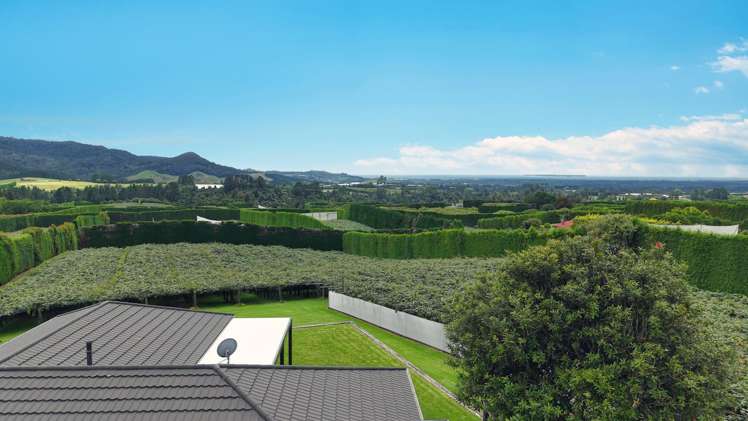 840 No 3 Road Te Puke_1