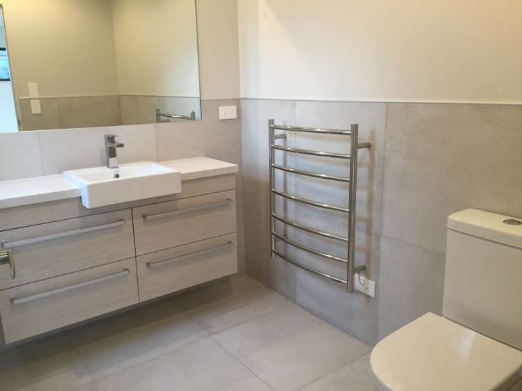 1 Louis Braille Lane Flat Bush_4