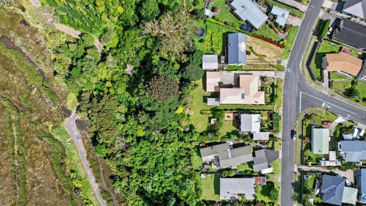 62 Harrier Street Parkvale_19