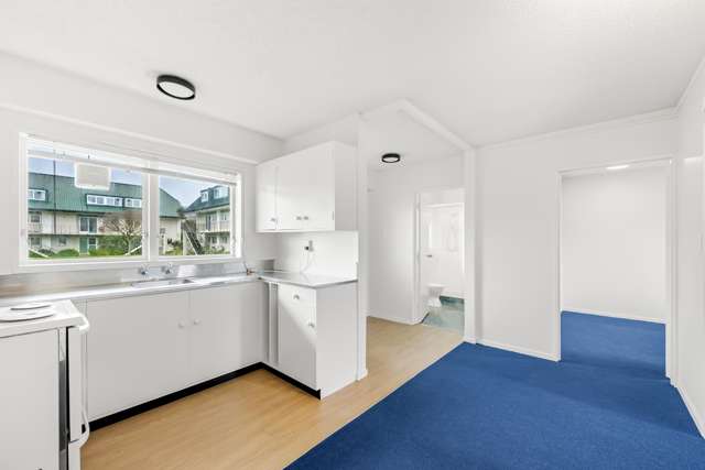 2/25 Britannia Street Petone_2