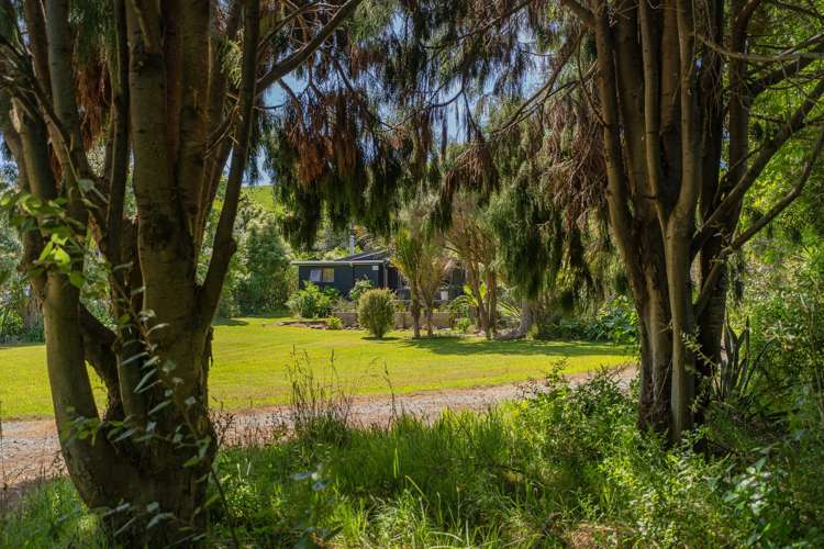 248 Sh25 Kuaotunu_15