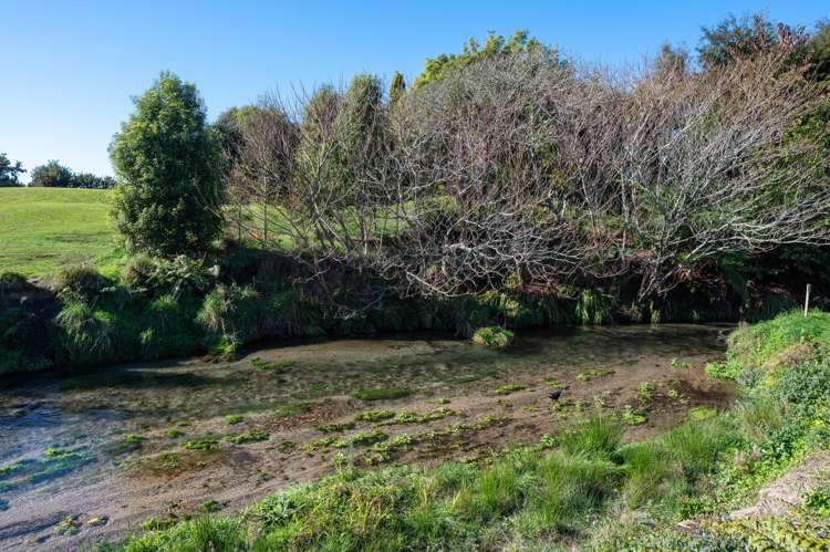 10 Erlam Place Westbrook_28